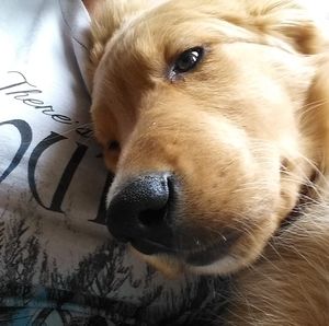 Meet your Posher, Chantelle